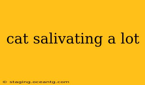 cat salivating a lot