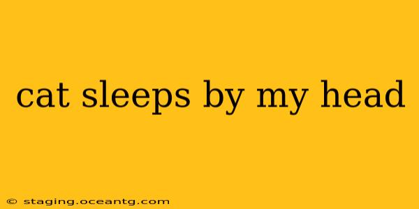 cat sleeps by my head