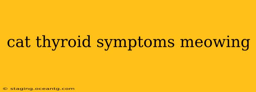 cat thyroid symptoms meowing