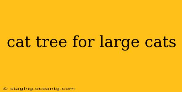 cat tree for large cats