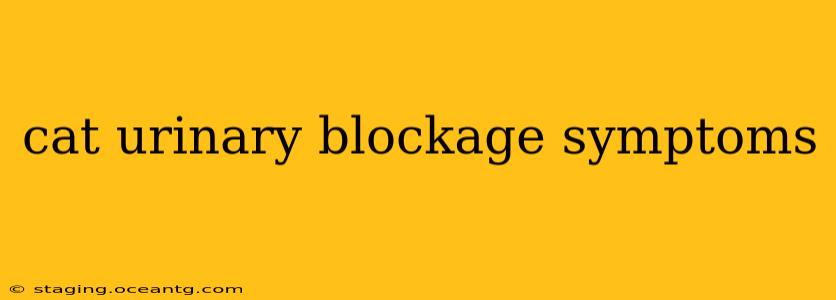 cat urinary blockage symptoms