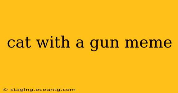 cat with a gun meme