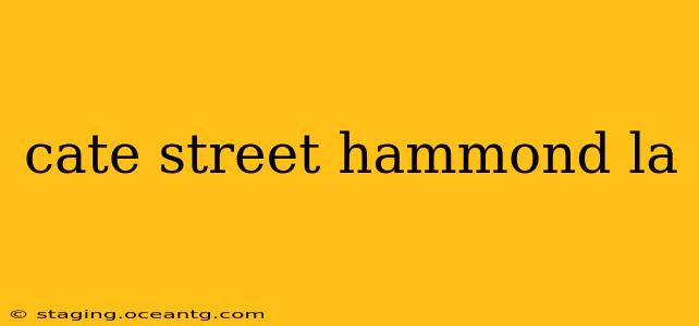 cate street hammond la