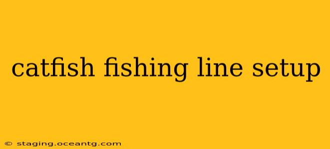 catfish fishing line setup