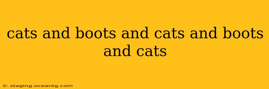 cats and boots and cats and boots and cats