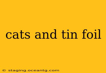 cats and tin foil