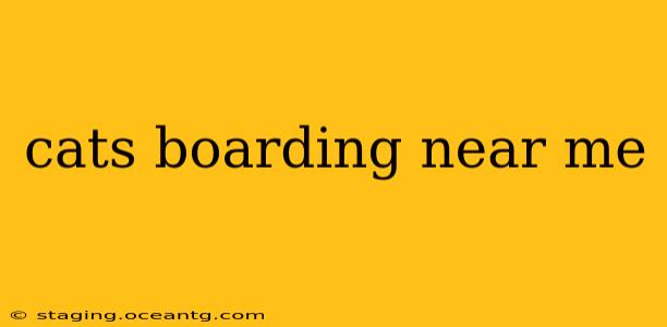 cats boarding near me