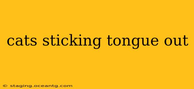 cats sticking tongue out