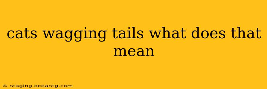 cats wagging tails what does that mean