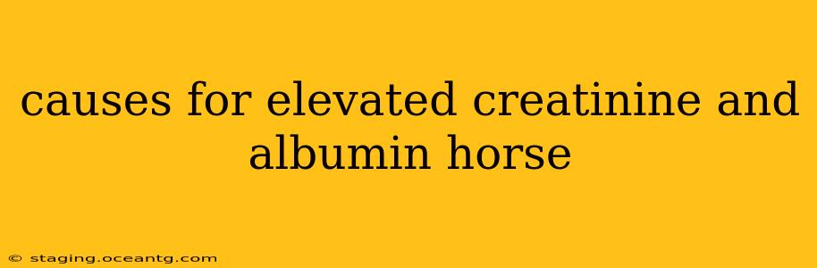 causes for elevated creatinine and albumin horse
