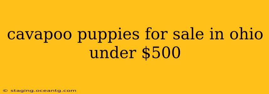 cavapoo puppies for sale in ohio under $500