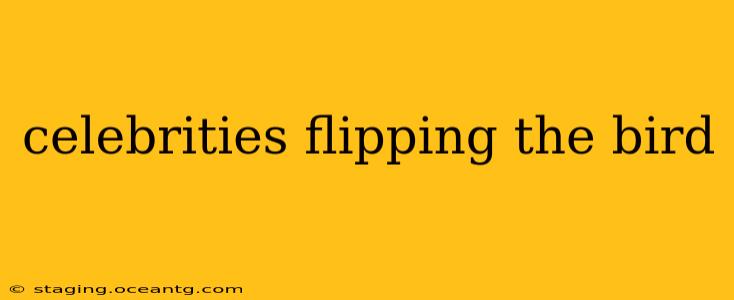 celebrities flipping the bird