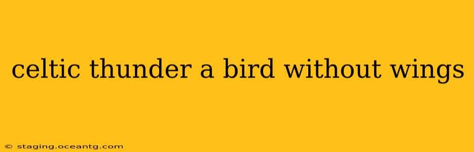 celtic thunder a bird without wings