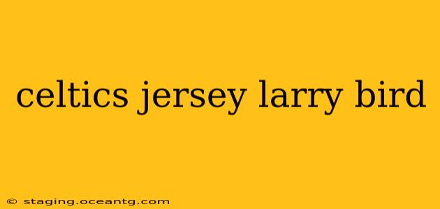 celtics jersey larry bird