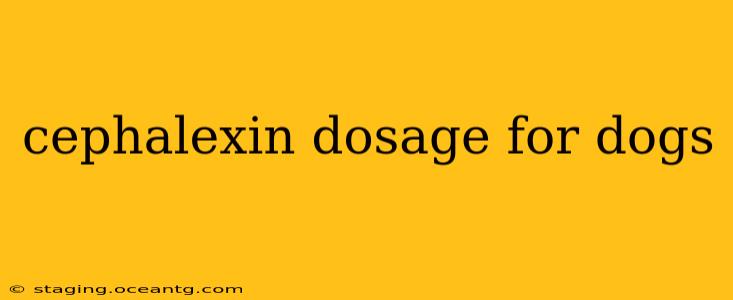 cephalexin dosage for dogs