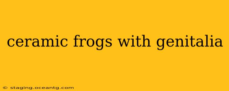 ceramic frogs with genitalia