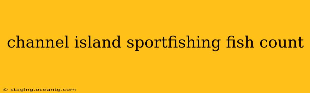 channel island sportfishing fish count