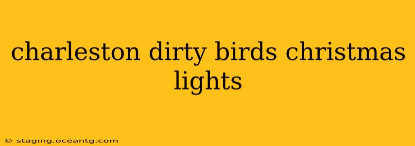 charleston dirty birds christmas lights