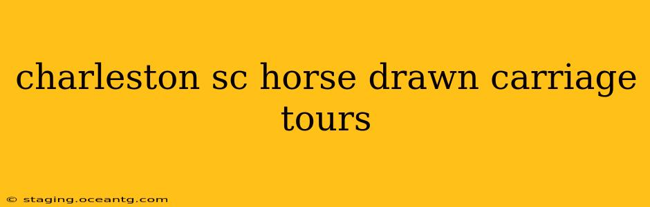 charleston sc horse drawn carriage tours