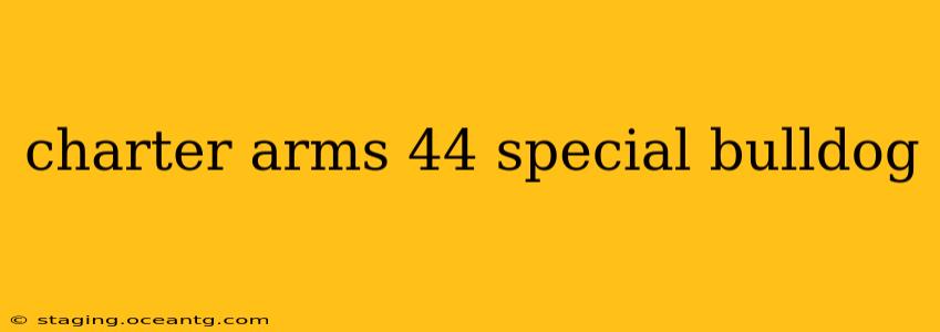 charter arms 44 special bulldog