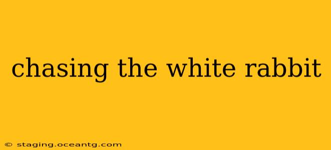 chasing the white rabbit