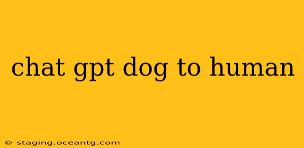 chat gpt dog to human