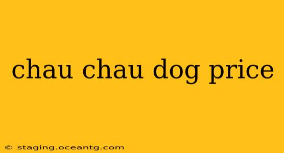 chau chau dog price