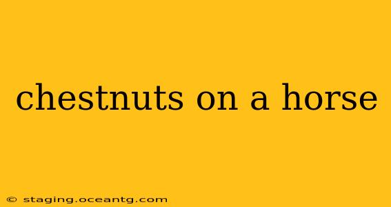 chestnuts on a horse