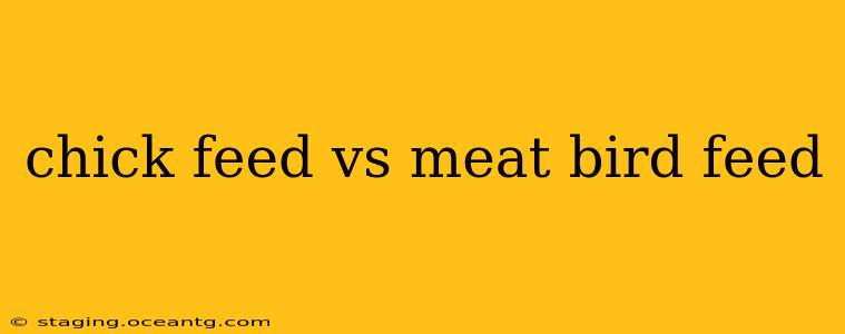 chick feed vs meat bird feed