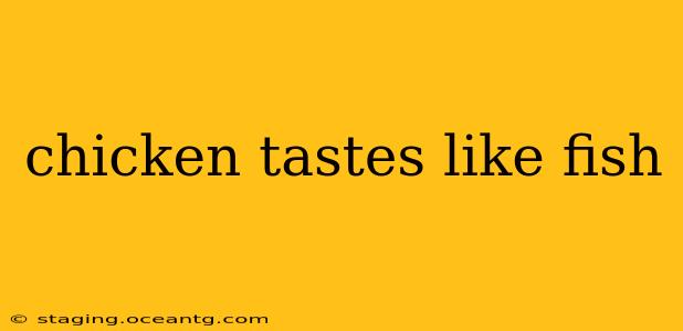 chicken tastes like fish