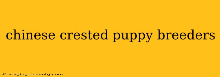 chinese crested puppy breeders