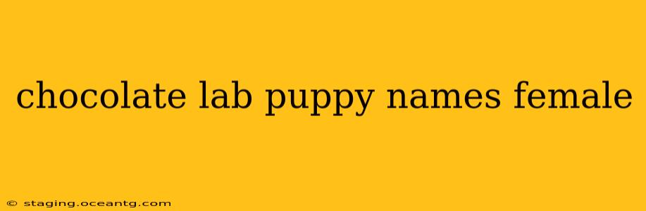 chocolate lab puppy names female