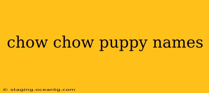 chow chow puppy names
