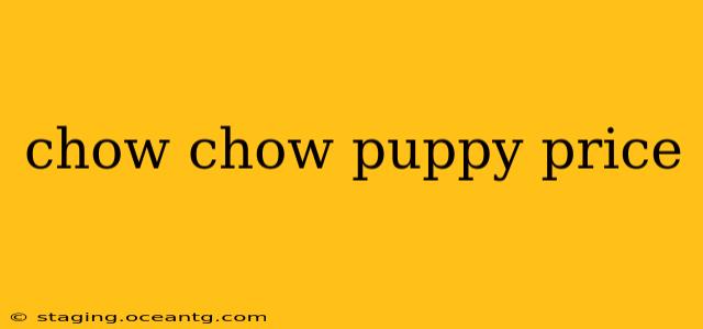 chow chow puppy price