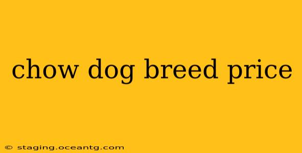 chow dog breed price
