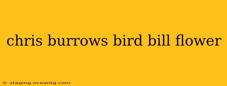 chris burrows bird bill flower