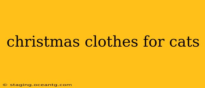 christmas clothes for cats