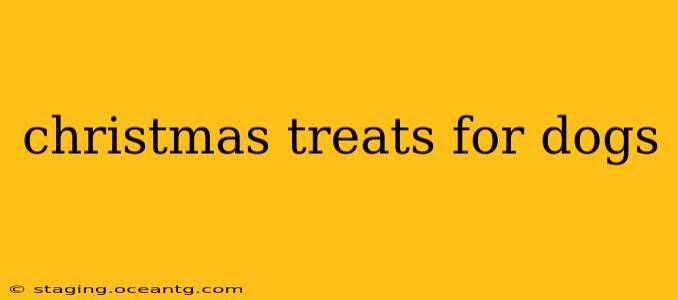 christmas treats for dogs