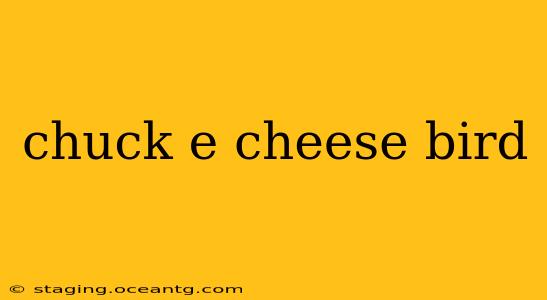 chuck e cheese bird