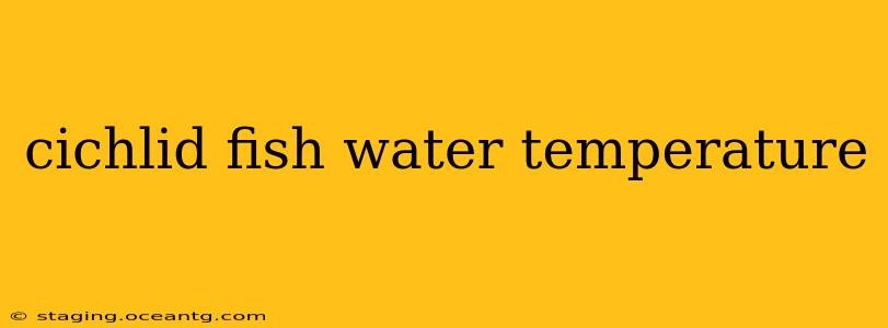 cichlid fish water temperature