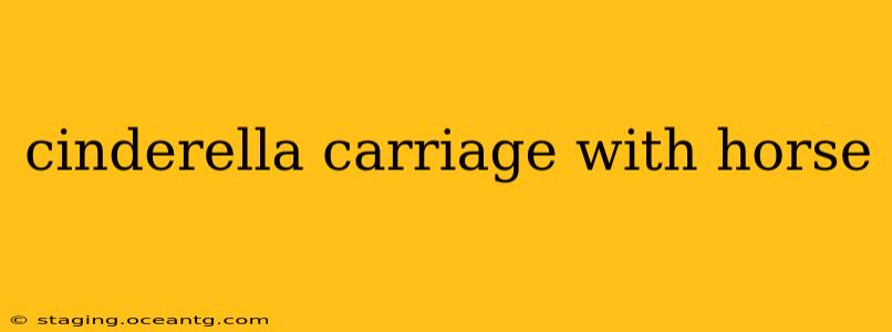 cinderella carriage with horse