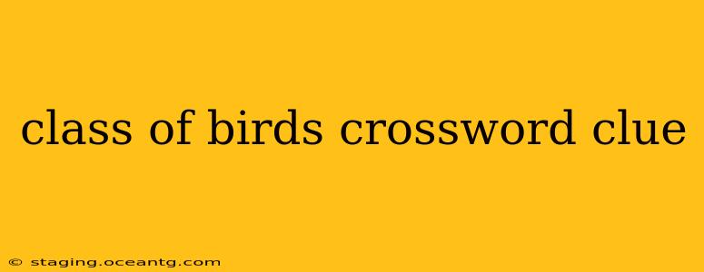 class of birds crossword clue