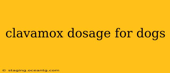 clavamox dosage for dogs
