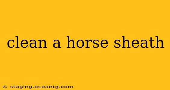 clean a horse sheath