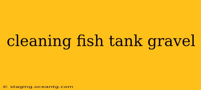 cleaning fish tank gravel