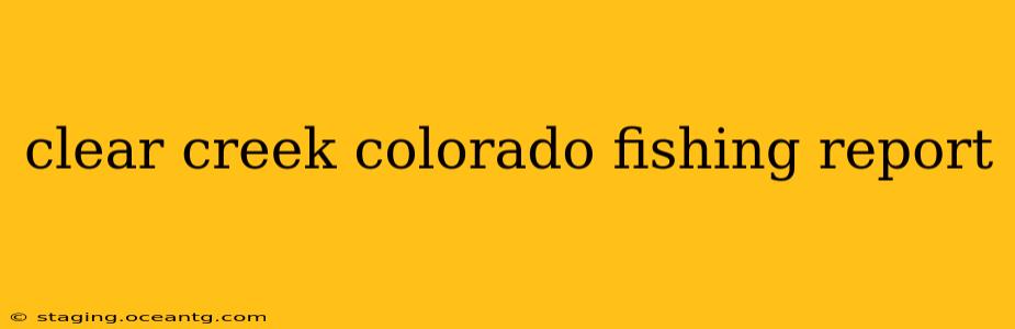 clear creek colorado fishing report
