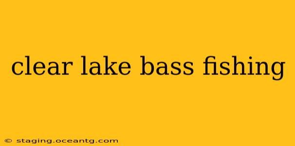 clear lake bass fishing