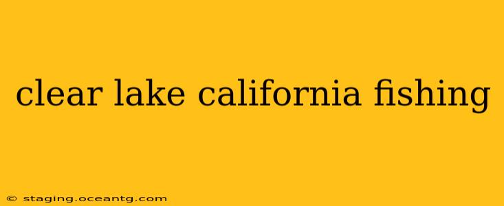 clear lake california fishing