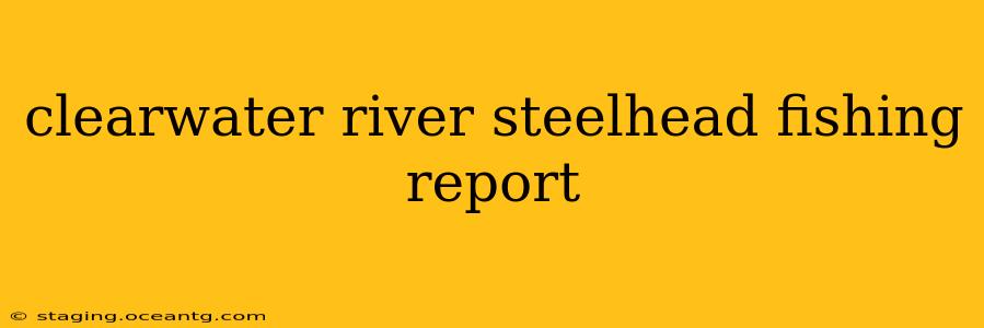clearwater river steelhead fishing report