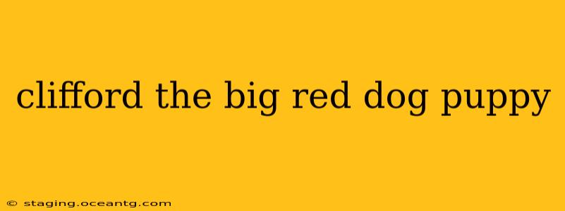 clifford the big red dog puppy
